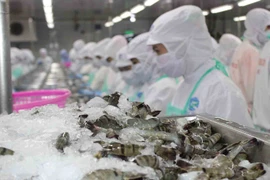 Les exportations nationales de produits agricoles et aquatiques débutent en fanfare
