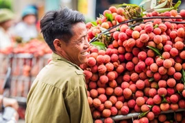 Bac Giang renforce la promotion des marques locales et de ses produits agricoles