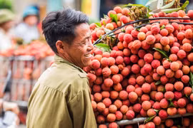 Bac Giang renforce la promotion des marques locales et de ses produits agricoles