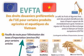 EVFTA: Des droits douaniers préférentiels de l’UE pour produits agricoles et aquatiques du Vietnam