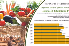 Exportations de produits agricoles, sylvicoles et aquatiques en baisse de 2,9% au premier trimestre
