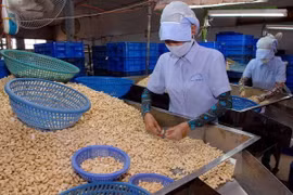 Binh Phuoc a réalisé une exportation excédentaire de plus de 400 millions d’USD en 6 mois