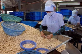 Binh Phuoc a réalisé une exportation excédentaire de plus de 400 millions d’USD en 6 mois