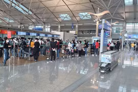 COVID-19 : Plus de 250 Vietnamiens rapatriés de République de Corée