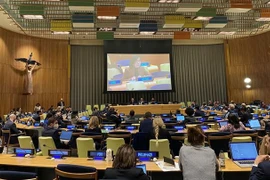 Le Vietnam soutient l'élargissement du Conseil de sécurité de l'ONU