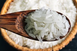 Le riz ST25 du Vietnam - Meilleur riz au monde pour la deuxième fois