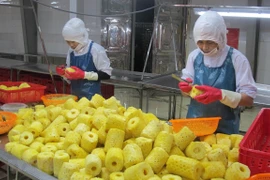 Le Vietnam et les Pays-Bas boostent la coopération dans le domaine de l'agriculture