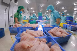 Les exportations de produits aquatiques représenteront plus de 7% des parts du marché mondial