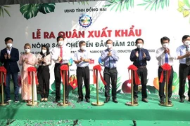 Dong Nai exporte ses premiers lots de fruits transformés en 2022