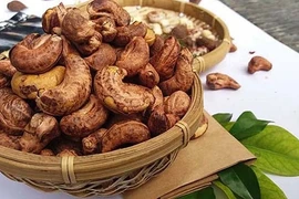 Les noix de cajou vietnamiennes souffrent à l’export 