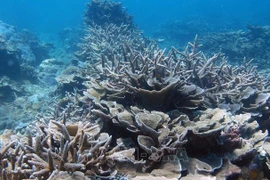 Stratégie nationale de la biodiversité à l'horizon 2030 approuvée