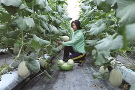 Le crédit de politique sociale soutient la lutte contre la pauvreté
