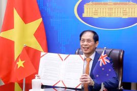 Promouvoir la coopération multiforme entre le Vietnam et la Nouvelle Zélande
