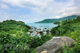 Quang Nam, une destination verte