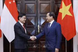 Promouvoir le partenariat stratégique Vietnam – Singapour