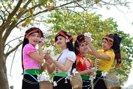 Dans le Nord, les festivals de fleurs servent de tremplin pour le tourisme