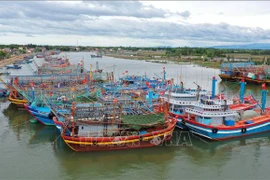 La planification des ports de pêche sert de levier pour la pêche durable