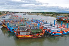 La planification des ports de pêche sert de levier pour la pêche durable