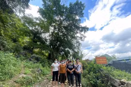 Les gardes-frontières de Cao Bang découvrent 38 migrants illégaux