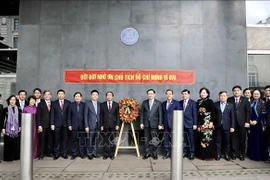 Promotion du rôle du réseau d'amitié Vietnam-Royaume-Uni
