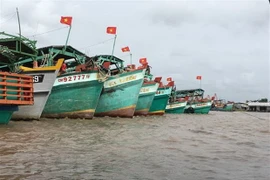 Le Vietnam réaffirme son engagement ferme à éliminer la pêche illégale