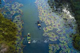 Révolution numérique du tourisme vietnamien : importance des entreprises pionnières