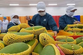 Forte hausse des exportations de fruits et légumes vers la Chine en octobre