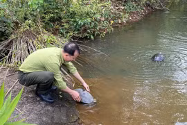 112 animaux sauvages relâchés dans la nature