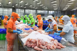Le Mexique, destination phare pour les exportations de poisson tra du Vietnam