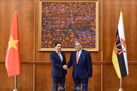 Le Vietnam et le Brunei s’engagent à promouvoir leur partenariat intégral
