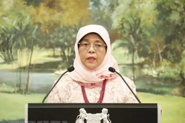 Vietnam - Singapour : connecter deux économies sur une plate-forme numérique