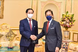 Le sultan du Brunei attache de l’importance aux liens avec le Vietnam