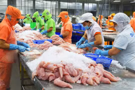 Le Vietnam a exporté 1,4 milliard de dollars de pangasius en six mois