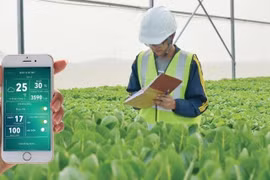 L’agriculture biologique high-tech améliore la qualité et réduit les coûts