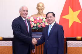 Resserrement des relations politiques spéciales et de coopération intégrale Vietnam-Cuba