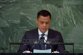 Le Vietnam appelle à une réforme du Conseil de sécurité de l'ONU