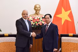 Promouvoir davantage la coopération multiforme Vietnam-Égypte