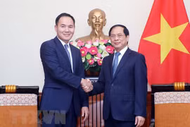La 10e consultation politique Vietnam - Mongolie