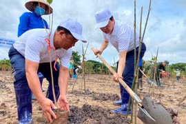 Des activités appellent à l’action pour protéger l’environnement
