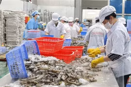 L’Afrique du Sud, un marché potentiel pour les produits aquatiques vietnamiens