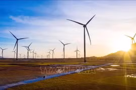 L'ONU salue le Vietnam pour la mise en œuvre de ses engagements en matière d'action climatique