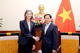 Le Vietnam estime les contributions du PNUD au développement socio-économique