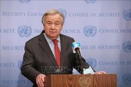 Le Vietnam soutient la réforme de l'ONU pour une meilleure efficacité