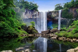 Célébration de la Journée internationale des réserves de biosphère au Vietnam pour la première fois