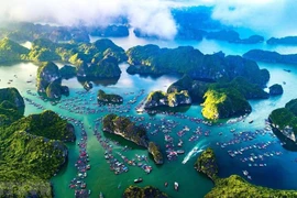 Le Vietnam envisage de créer un groupe de partenariat sur l’économie bleue