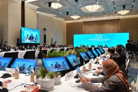Le Vietnam appelle l'APEC à soutenir la promotion du tourisme international