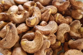 Risque de fraude pour 100 conteneurs de noix de cajou exportés vers l’Italie