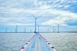 Vietnam : les énergies renouvelables ont dépassé les 10% pour la première fois 