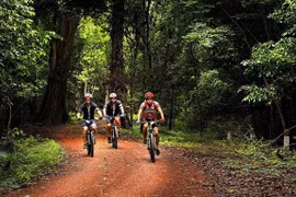 Le Vietnam accueille 2,95 millions de touristes étrangers en onze mois