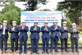 Le Japon offre 24 cerisiers à la province de Gia Lai